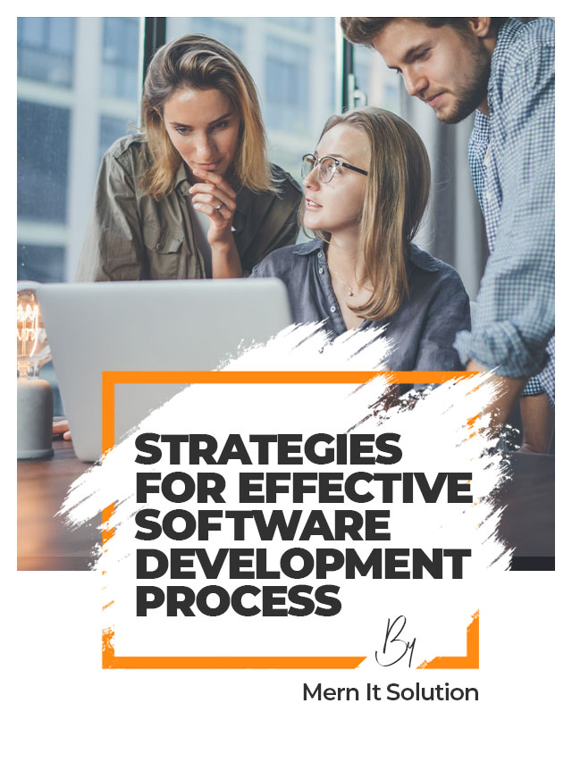 Effective Software Development Process